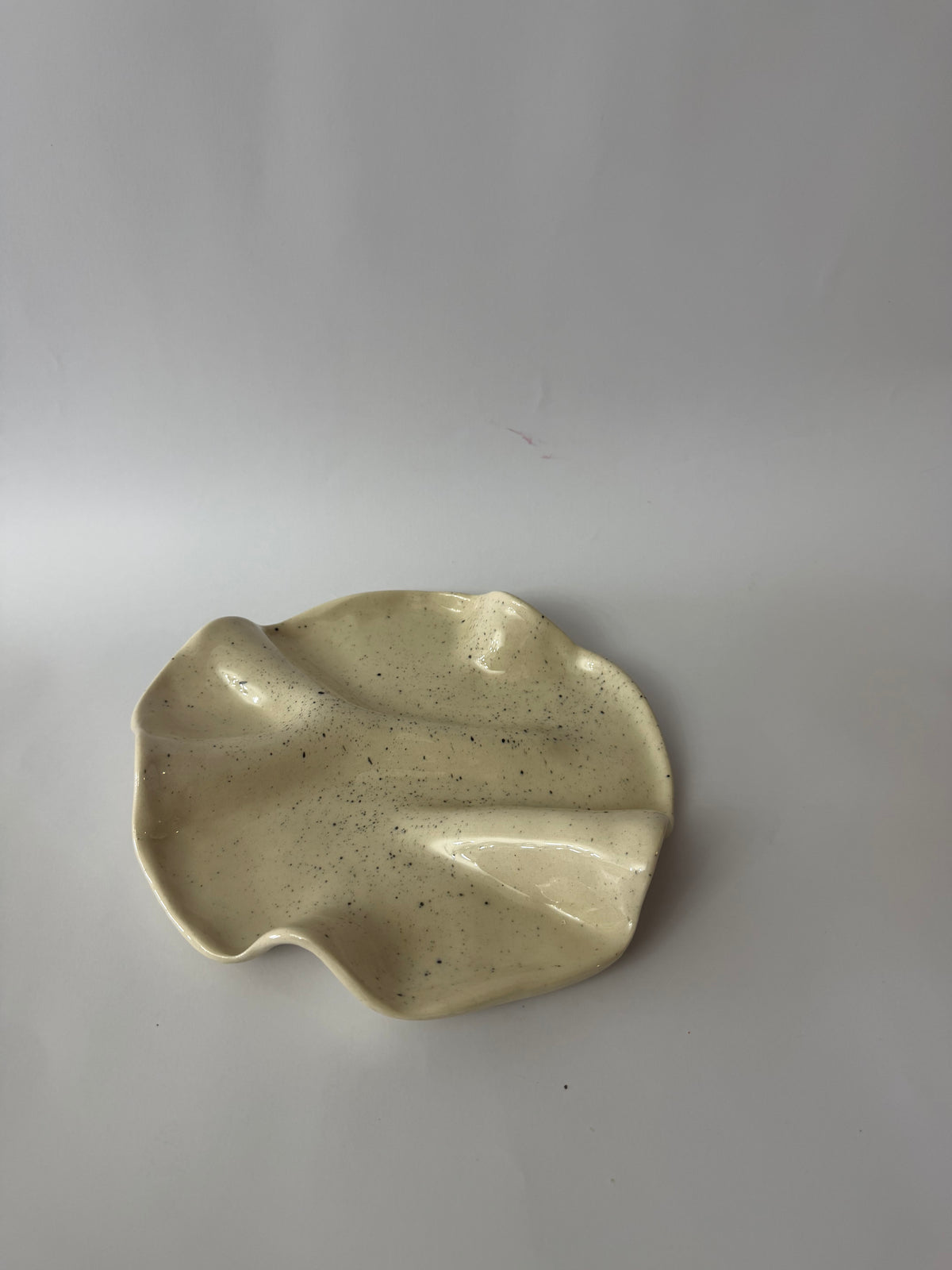 Styled shot of speckled ivory ruffle-edge ceramic plate in warm natural light